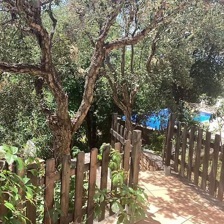 Apartmán Sunny Costa Brava Getaway With Big Private Terrace Santa Cristina d'Aro